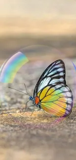 Colorful butterfly sitting on a bubble with a soft golden brown background.