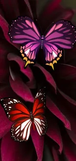 Vibrant butterflies on dark red petals wallpaper.