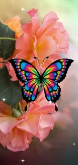 Colorful butterfly on vibrant pink flower wallpaper for phones.