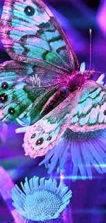 Vibrant butterfly resting on a blue flower amidst purple tones.