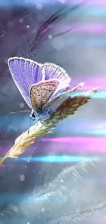 Vibrant butterfly perched on a flower with a purple and teal background.