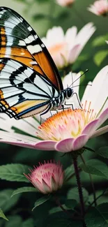 Butterfly delicately perched on a vibrant flower.