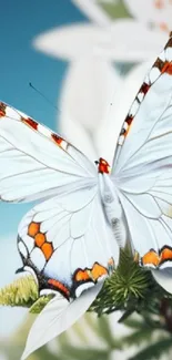 A vibrant butterfly rests on a flower, set against a light blue sky background.