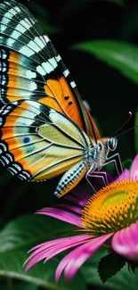 Colorful butterfly perched on pink flower with green leaves in the background.