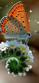 Vibrant orange butterfly resting on a blooming flower.