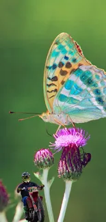 Colorful butterfly on flower with miniature biker in a vibrant nature scene.