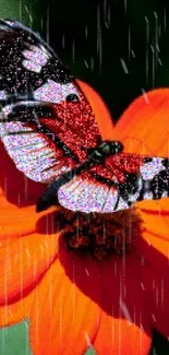 Vibrant butterfly perched on orange flower with rain effect.