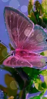 Beautiful purple butterfly on green flowers wallpaper.