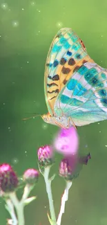 Vibrant butterfly on flowers with green background