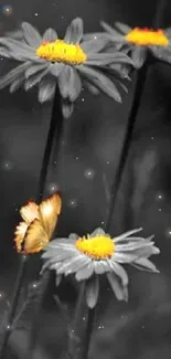 Yellow butterfly resting on daisies with a grayscale background.