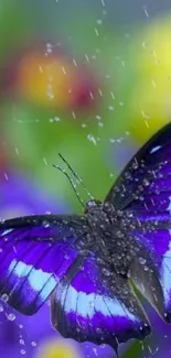 Vibrant blue butterfly with purple flowers background.