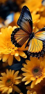 Vibrant butterfly perched on yellow flowers.