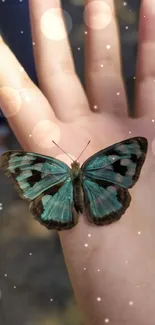 Teal butterfly resting on an open hand.