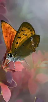 Vibrant butterfly resting on colorful leaves.