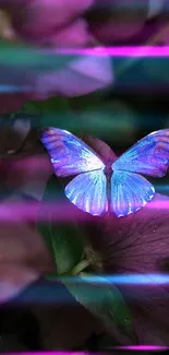 Blue and purple butterfly resting on leafy background.