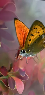 Vibrant orange butterfly resting on colorful leaves.