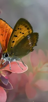 Vibrant butterfly atop colorful leaves with a soft, pastel background.