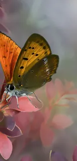 Orange and brown butterfly on pink leaves, elegant wallpaper.