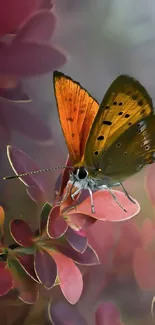 Butterfly with orange wings on leafy background.