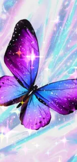 Butterfly on neon purple and blue background wallpaper.