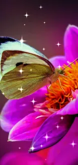 Butterfly on a vibrant pink flower with a dark blurred background.