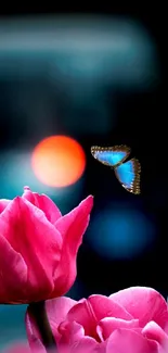 Blue butterfly hovering over pink flowers on a blurred background.