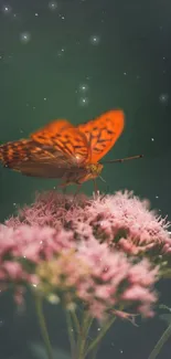 Orange butterfly rests on pink flowers with green background.