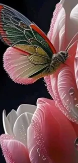 Colorful butterfly perched on dewy pink petals with intricate details.