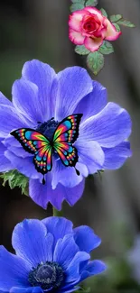 Colorful butterfly resting on a vibrant purple flower with a pink rose above.