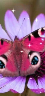 Colorful butterfly resting on purple flower close-up.