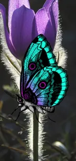 Teal butterfly resting on a purple flower in a captivating nature scene.