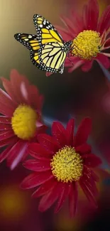 Butterfly on Red Flowers Mobile Wallpaper