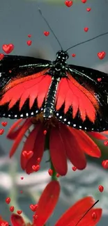 Vibrant butterfly perched on a red flower.