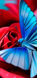 Vibrant blue butterfly resting on a vivid red rose, perfect for phone wallpaper.