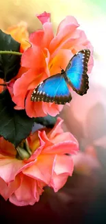 Blue butterfly perched on vibrant orange roses with green leaves.