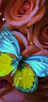 Colorful butterfly on peach roses wallpaper.