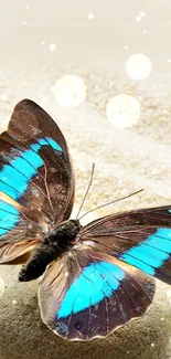 Blue butterfly with vibrant wings on sand.