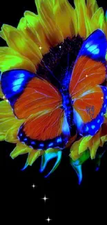 Vibrant butterfly resting on a bright sunflower against a black background.