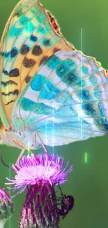 A colorful butterfly rests on a vibrant thistle against a green backdrop.