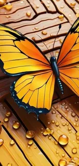 Vibrant orange butterfly on wooden planks with droplets.