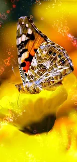 Butterfly resting on a vibrant yellow flower with colorful design elements.