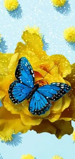 Blue butterfly on a vibrant yellow flower with a soft blue background.