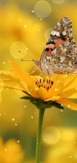 Butterfly perched on a yellow flower against a blurred yellow background.