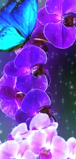 Blue butterfly on purple orchids with starry background.