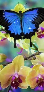 Vibrant blue butterfly on yellow orchids wallpaper.