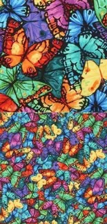 Vibrant butterfly pattern wallpaper with various colors.