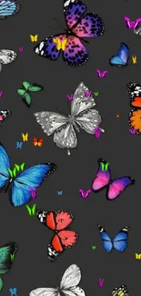 Colorful butterfly pattern on a black background, vibrant and artistic.