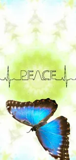 Vibrant blue butterfly with "Peace" in artistic backdrop.