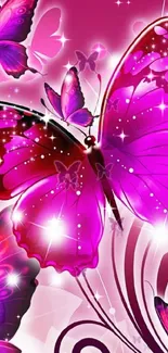 Vibrant magenta butterfly wallpaper for phones.