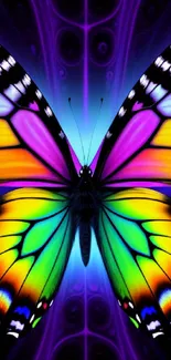 Vibrant multicolored butterfly wallpaper on gradient background.